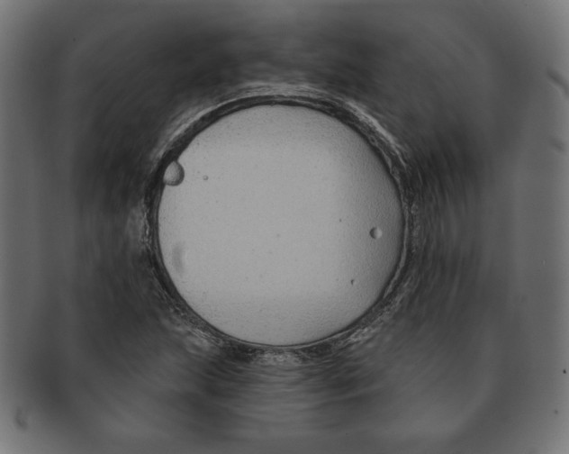 X0000091701215200709210915