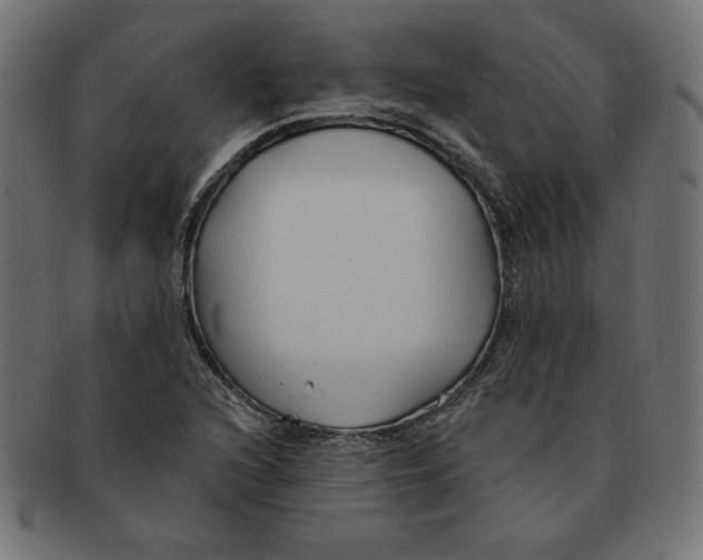 X0000091701216200709210915