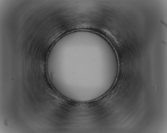 X0000091701217200709210915