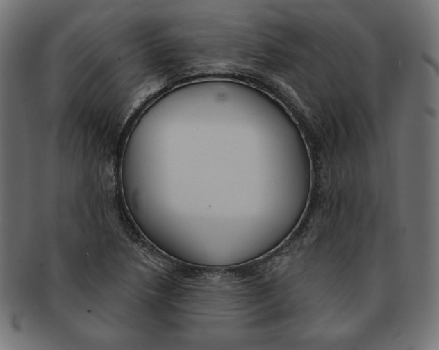 X0000091701218200709210915