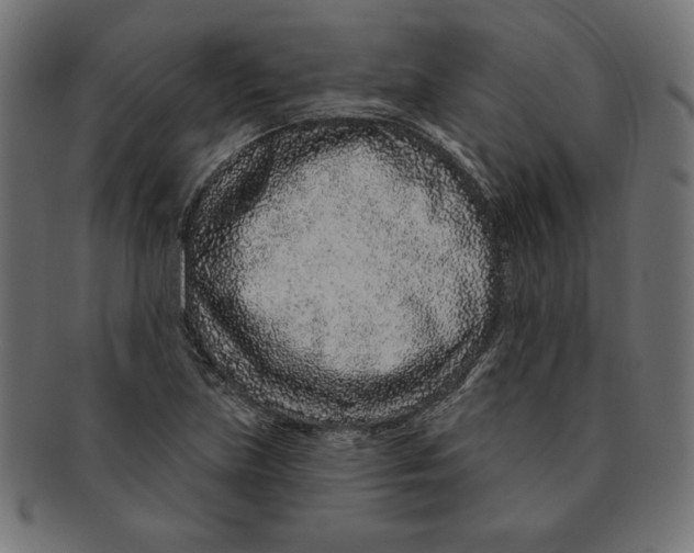 X0000091701219200709210915