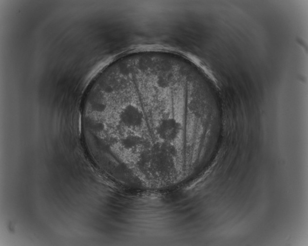 X0000091701221200709210915