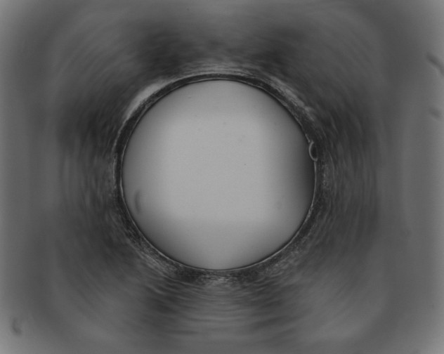 X0000091701222200709210915