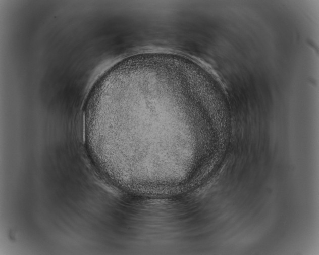 X0000091701223200709210915