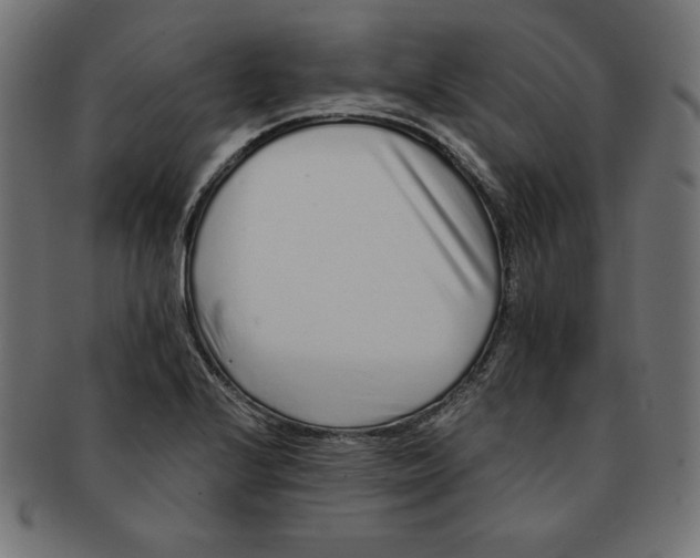 X0000091701224200709210915