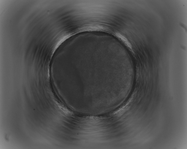 X0000091701226200709210915