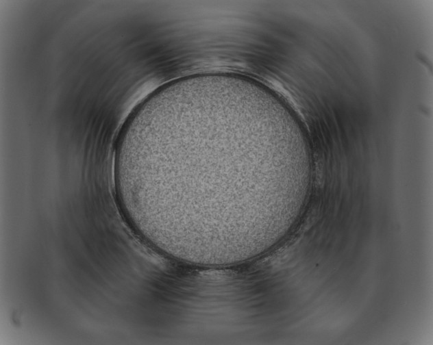 X0000091701227200709210915