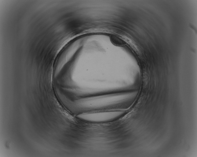 X0000091701228200709210915