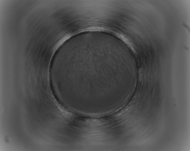 X0000091701229200709210915