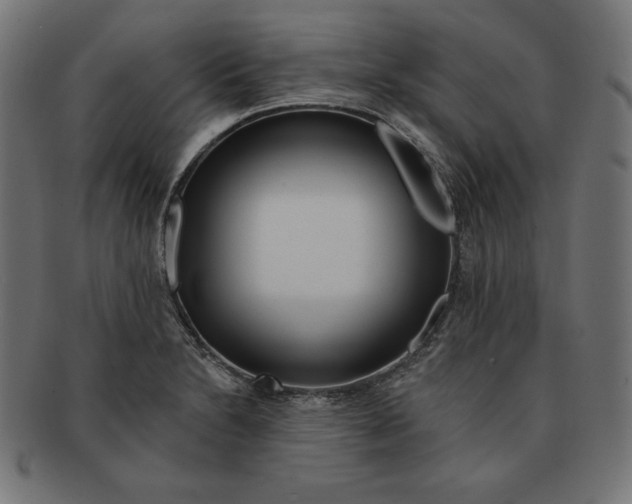 X0000091701230200709210915