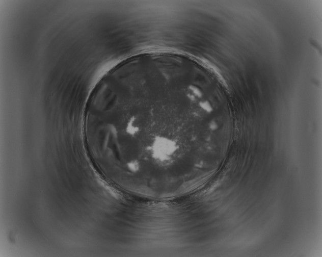 X0000091701231200709210915