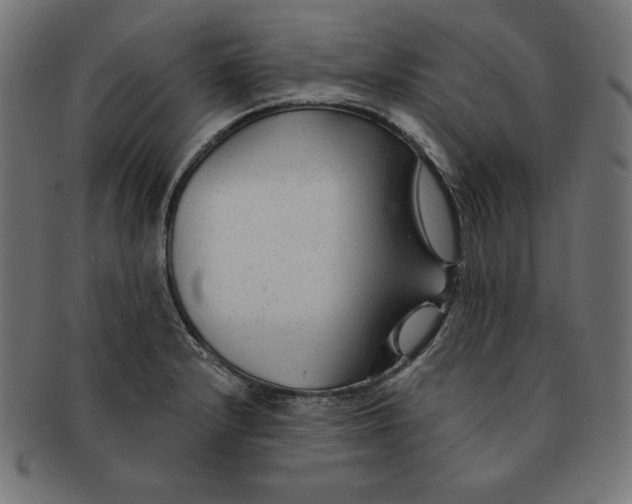 X0000091701232200709210915