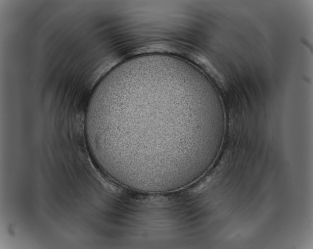 X0000091701233200709210915