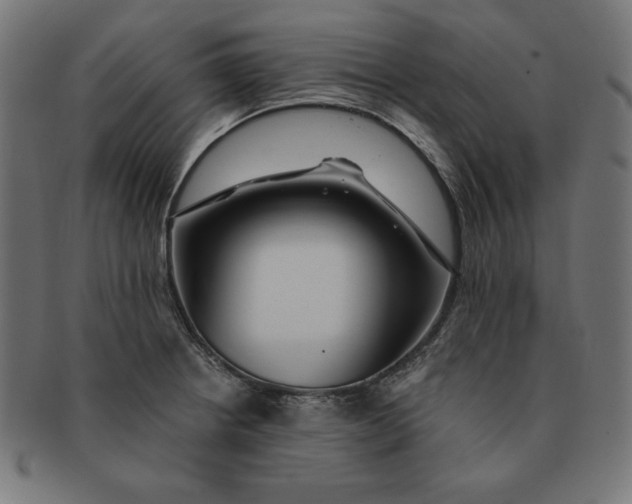 X0000091701234200709210915