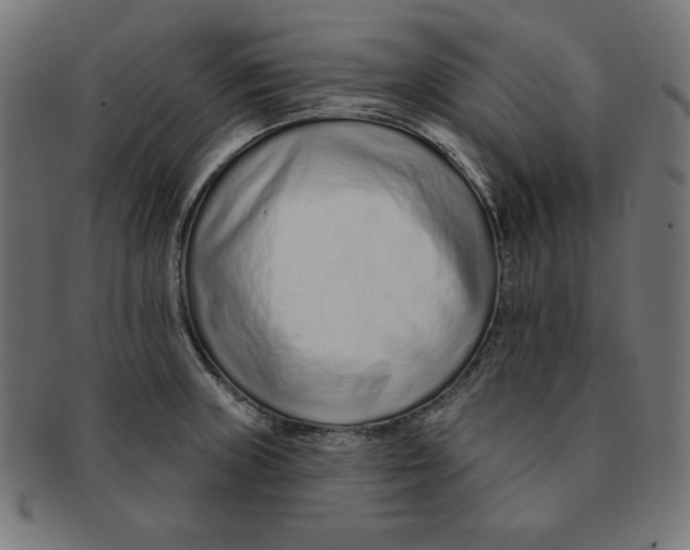 X0000091701235200709210915