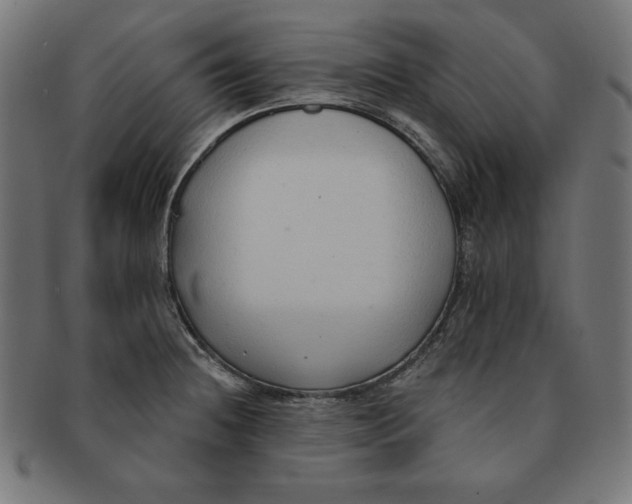 X0000091701236200709210915