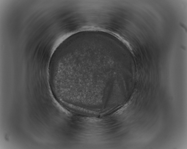 X0000091701239200709210915