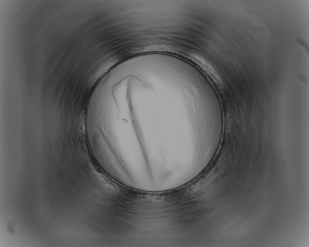 X0000091701241200709210915