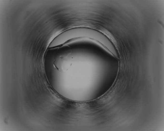 X0000091701242200709210916