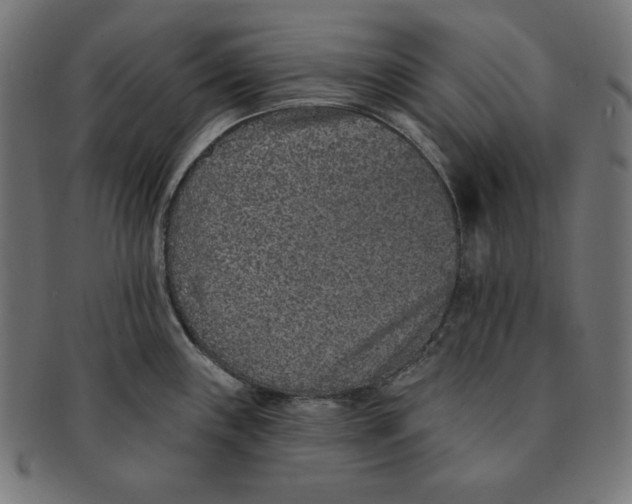 X0000091701243200709210916