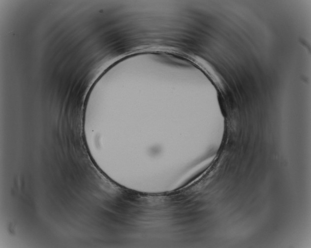 X0000091701244200709210916