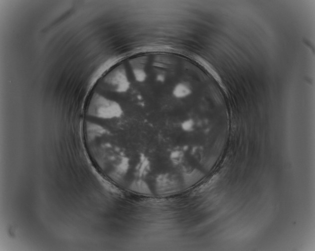 X0000091701245200709210916