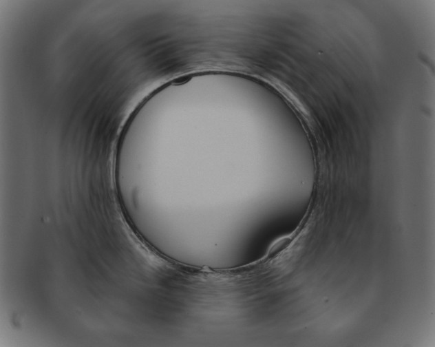 X0000091701246200709210916