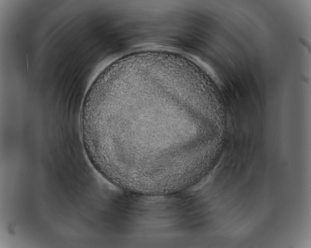 X0000091701247200709210916