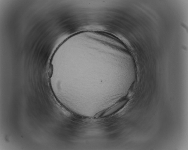 X0000091701248200709210916