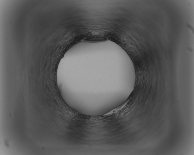 X0000091701249200709210915