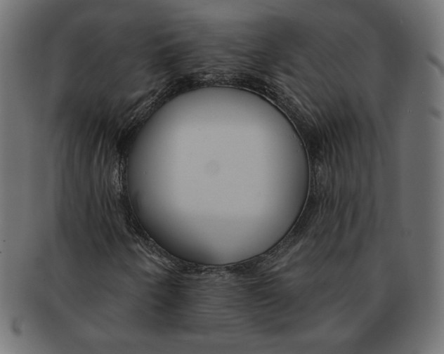 X0000091701250200709210915