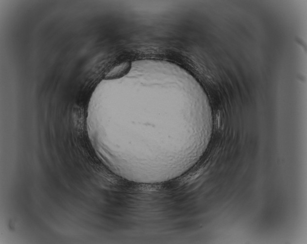 X0000091701251200709210915