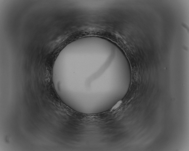 X0000091701253200709210915