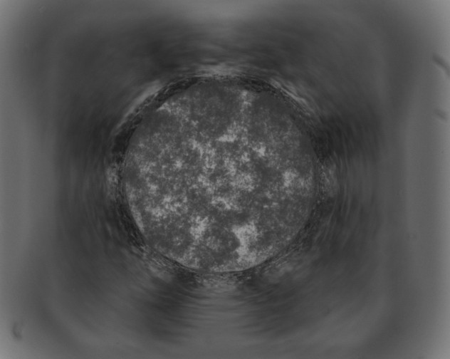 X0000091701254200709210915