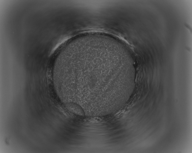 X0000091701255200709210915