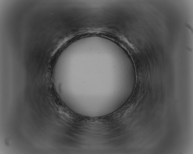 X0000091701256200709210915