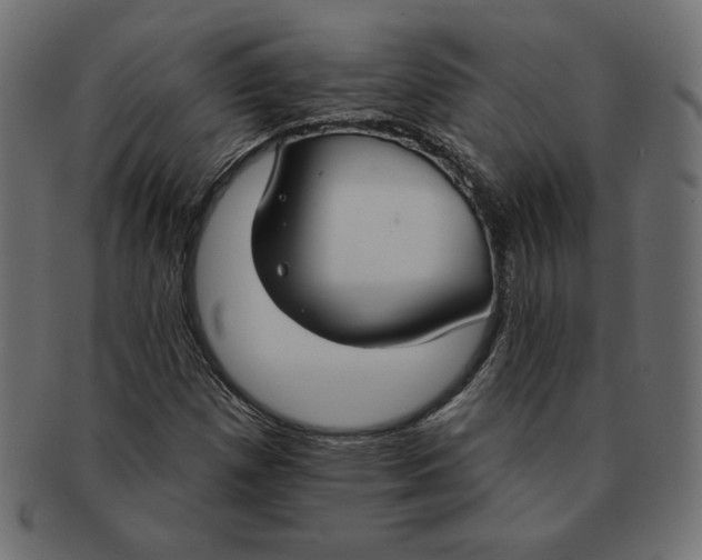 X0000091701257200709210915