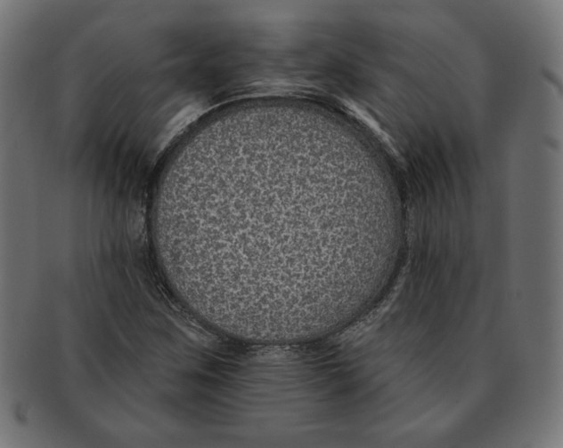 X0000091701259200709210915