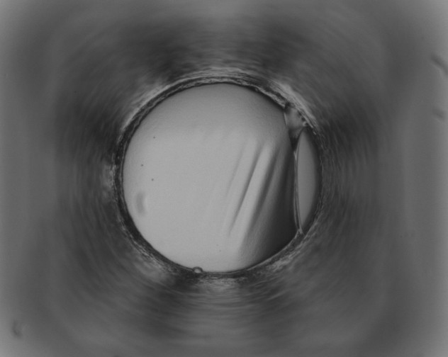 X0000091701260200709210915