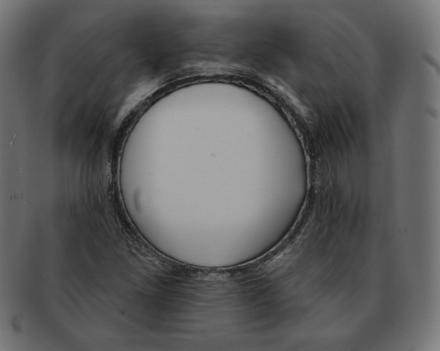 X0000091701261200709210915