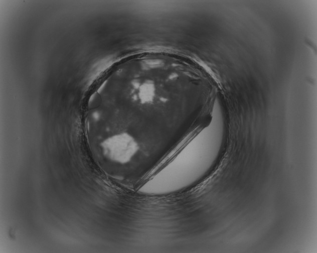 X0000091701263200709210915