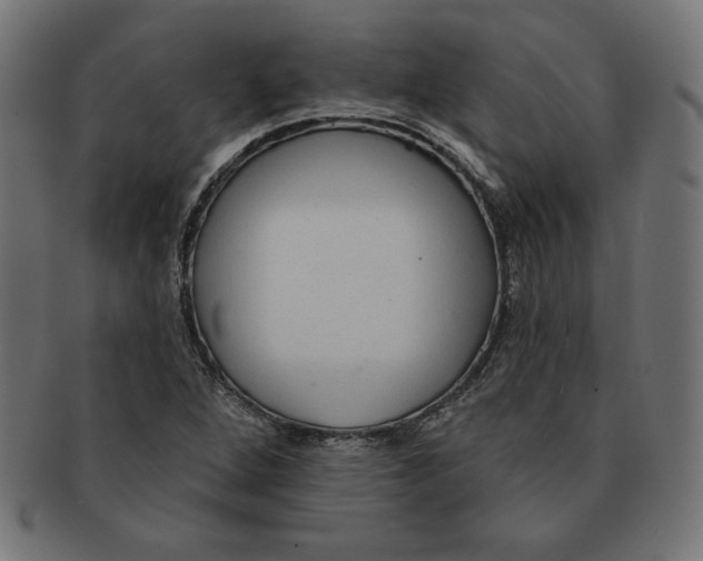 X0000091701264200709210915