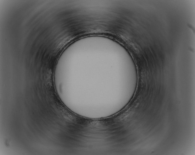 X0000091701265200709210915