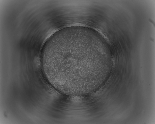 X0000091701266200709210915