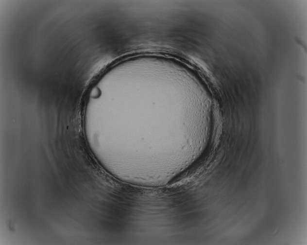 X0000091701267200709210915