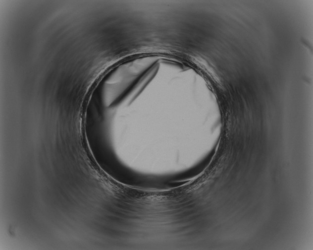 X0000091701268200709210915