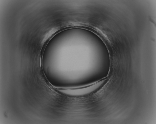 X0000091701269200709210915