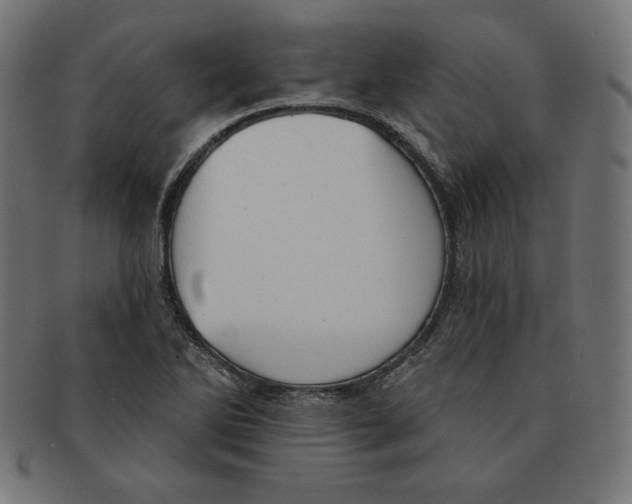 X0000091701270200709210915