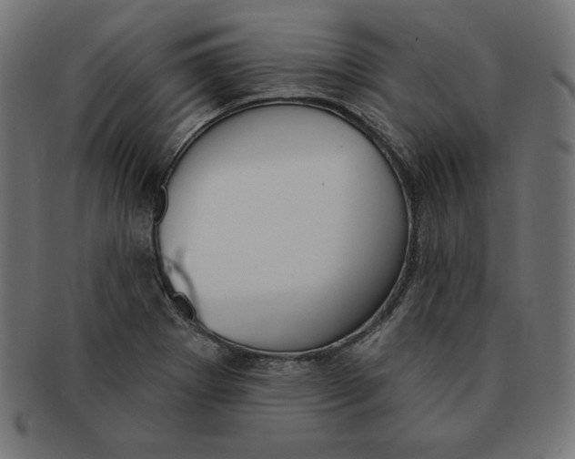 X0000091701273200709210915