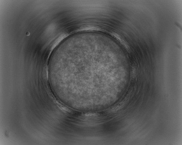 X0000091701274200709210915